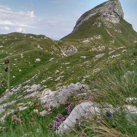 Apartments Durmitor 자블야크 외부 사진