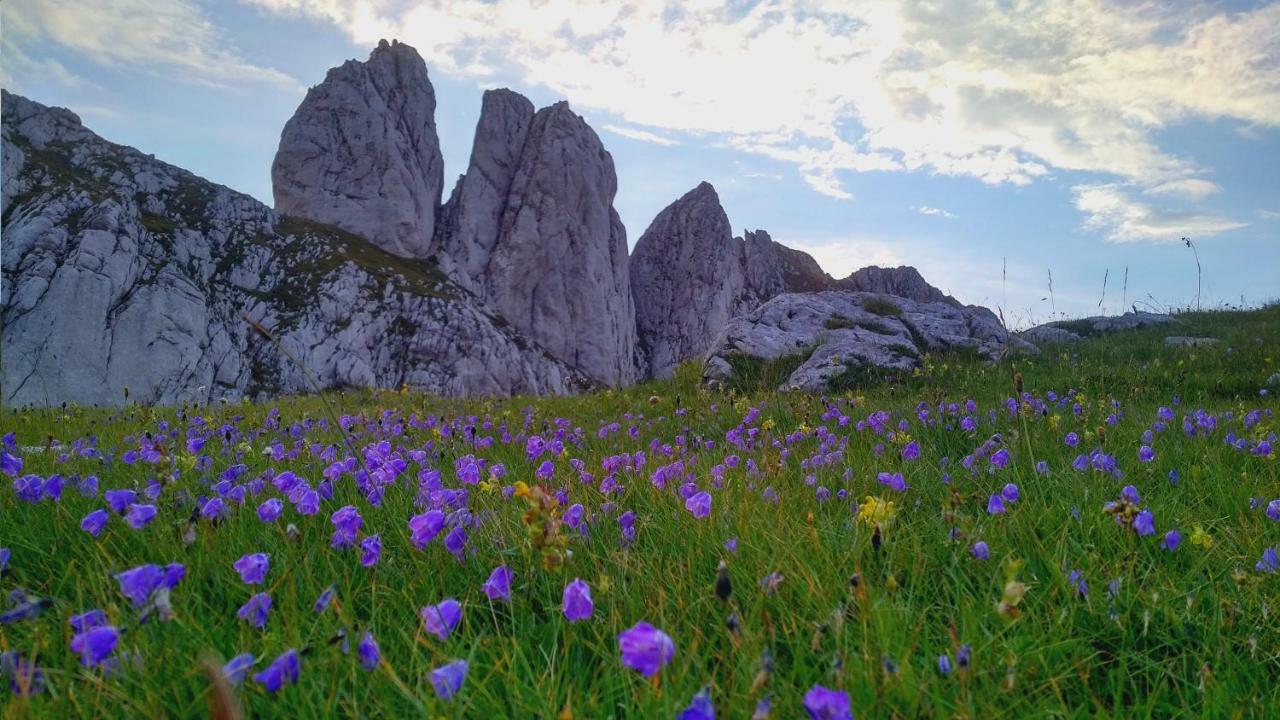 Apartments Durmitor 자블야크 외부 사진