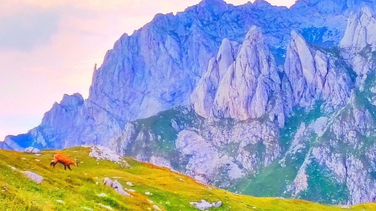 Apartments Durmitor 자블야크 외부 사진