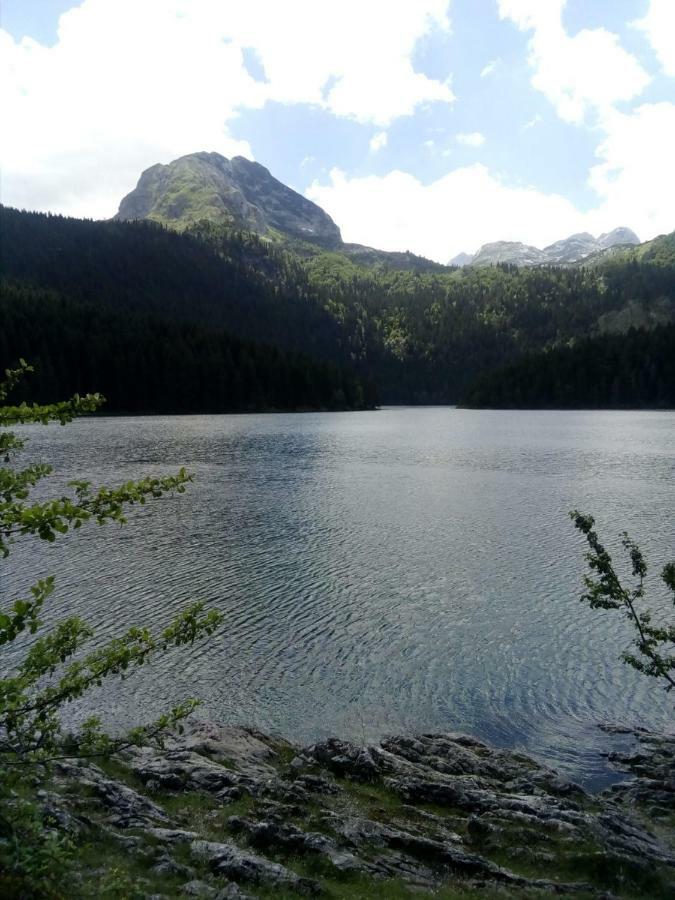 Apartments Durmitor 자블야크 외부 사진